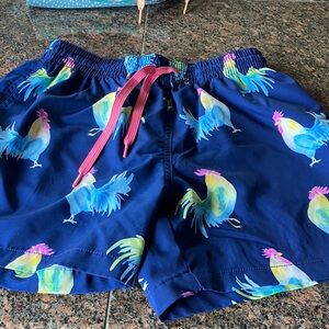 Chubbies Blue and White Swim Shorts